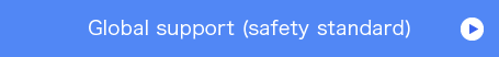 Global support (safety standard)